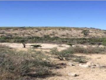 Rancho en venta en El Tepetate, San José Iturbide, Guanajuato