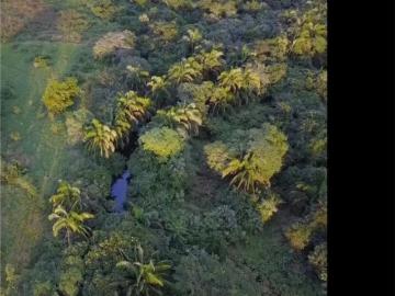 Finca Rancho en venta en El Zacatal, Jamapa, Veracruz de Ignacio de la Llave