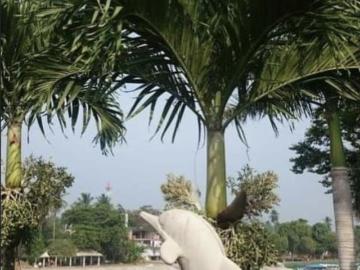Finca Rancho en venta en La Posta, La Antigua, Veracruz de Ignacio de la Llave