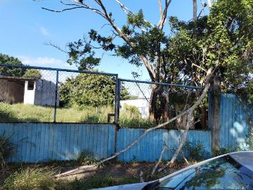Finca Rancho en venta en La Víbora La Reforma, Tlalixcoyan, Veracruz de Ignacio de la Llave