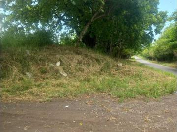 Finca Rancho en venta en Manlio Fabio Altamirano, Manlio Fabio Altamirano, Veracruz de Ignacio de la Llave
