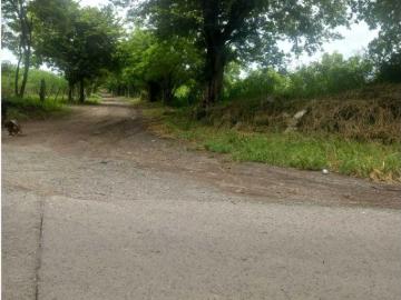 Finca Rancho en venta en Manlio Fabio Altamirano, Manlio Fabio Altamirano, Veracruz de Ignacio de la Llave