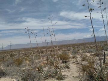 Finca Rancho en venta en Santa Teresa de Sofía, Cuatro Ciénegas, Coahuila de Zaragoza
