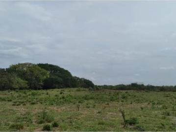 Finca Rancho en venta y renta en Piedras Negras, Tlalixcoyan, Veracruz de Ignacio de la Llave