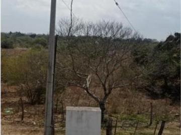 Finca Rancho en Venta en Rincón del Copite, Medellín de Bravo, Veracruz de Ignacio de la Llave