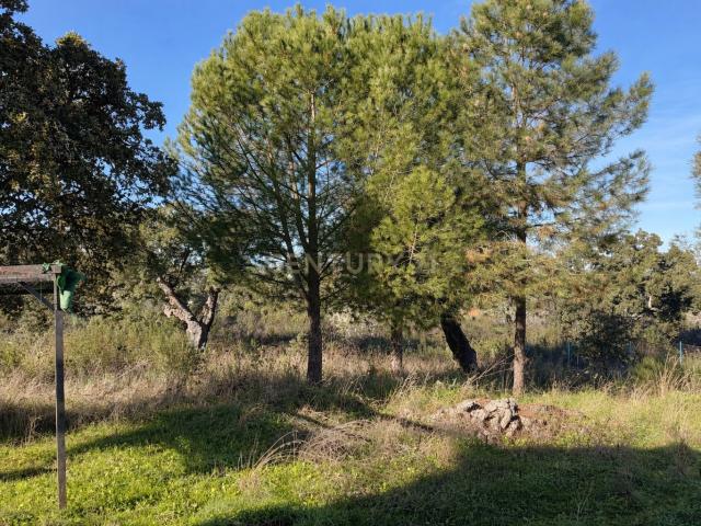 Finca rural con casa y piscina en la Sierra de San Pedro Cáceres