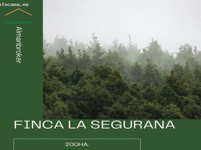 FINCA RURAL LA SEGURANA