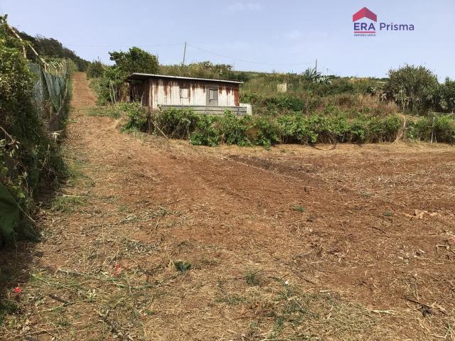 Finca Rústica Agricola de 3.376 m2 con Cuarto de Aperos | Los Baldíos La Laguna Tenerife