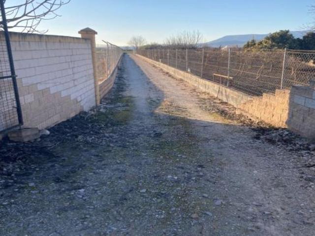 FINCA RÚSTICA CERCA DE PEDRO RUIZ