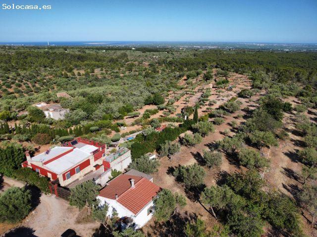 Finca rústica con vistas al mar y al Delta del Ebro, a solo 11 km de las playas de l’Ampolla