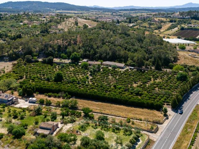 Finca rústica con vistas panorámicas y naranjos en producción en el corazón de Mallorca