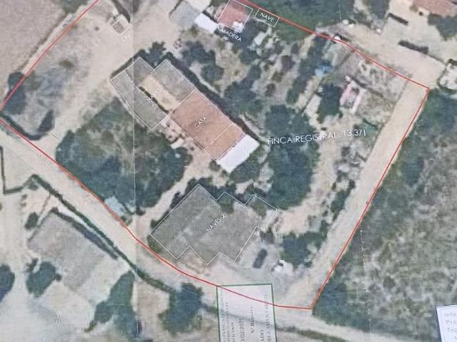 Finca rústica con vivienda y naves sobre parcela de 5.562 m2 en Elche