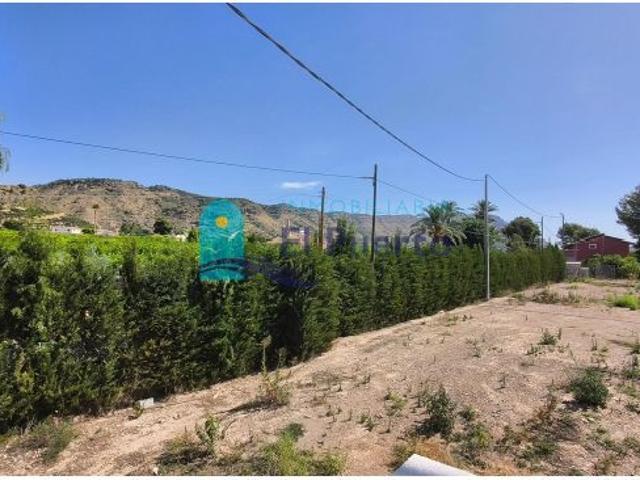FINCA RÚSTICA CON VIVIENDA y PARCELA URBANA DE 2000m2 EN ALHAMA DE MURCIA – REF. 2000
