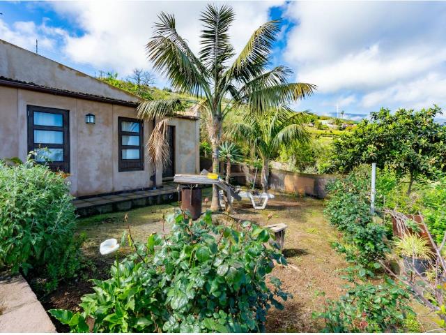 ¡Finca rústica con vivienda en La Orotava!