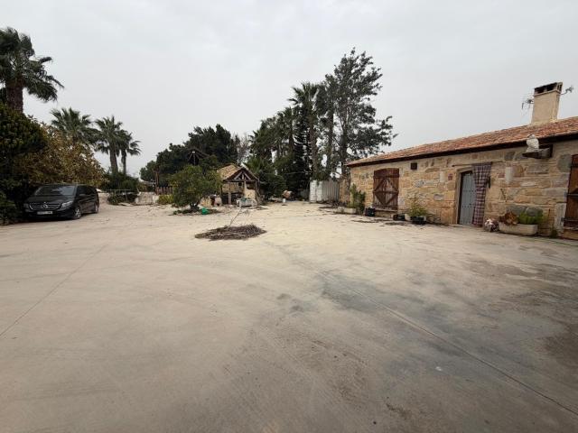 FINCA EN SAN MIGUEL DE SALINAS