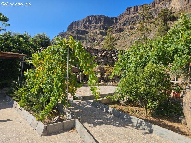 Finca rústica con vivienda, segunda edificación y 17.000 m2 de terreno en Lomo de Pedro Afonso – La