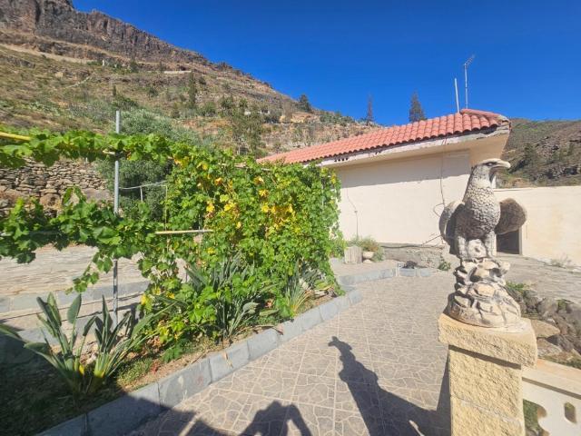 Finca rústica con vivienda, segunda edificación y 17.000 m2 de terreno en Lomo de Pedro Afonso – La Hoya, Gran Canaria