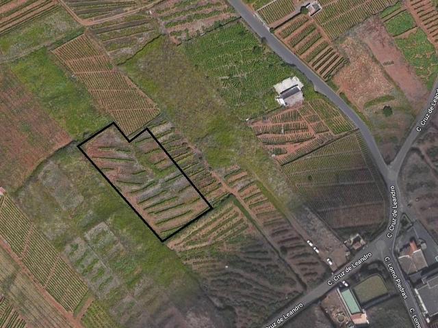 FINCA RUSTICA CON VIÑA EN EL SAUZAL