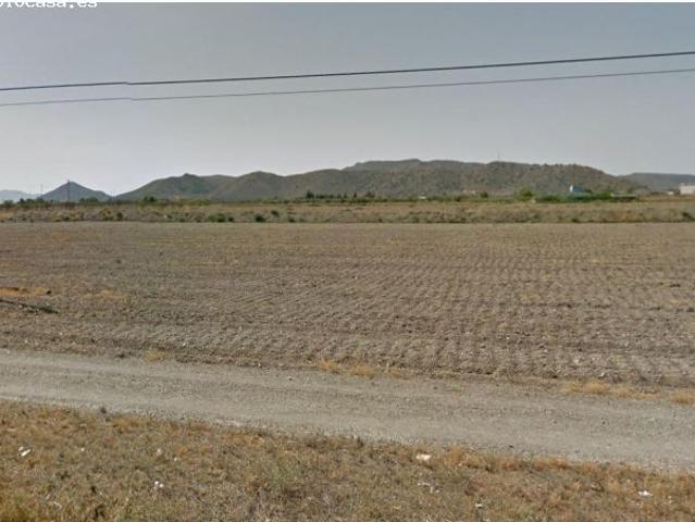 FINCA RÚSTICA CON ALMACÉN E INVERNADERO