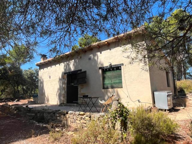 Finca rústica con almacén en Ráfales