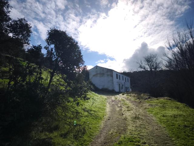 Finca rústica con arroyo y vivienda tradicional en Setenil de las Bodegas Cádiz