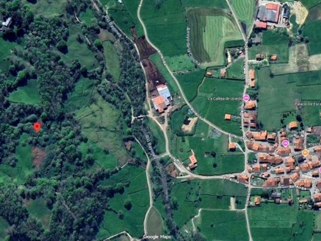 FINCA RÚSTICA CON CABAÑA EN LLAOS RUENTE