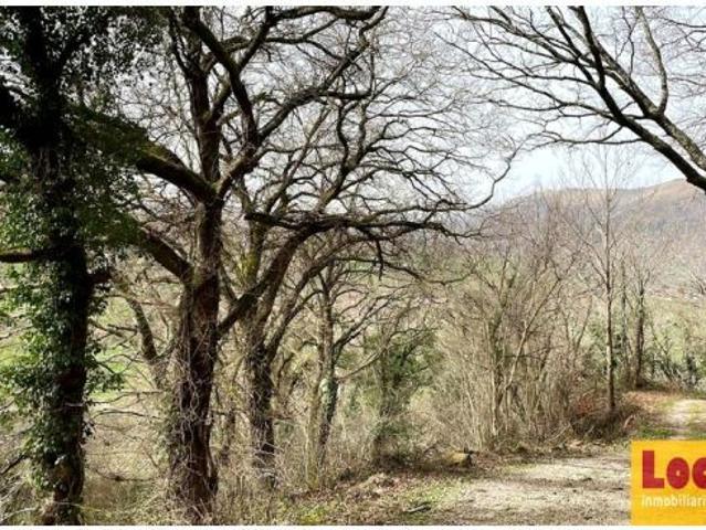 FINCA RÚSTICA CON CABAÑA EN LLAOS RUENTE