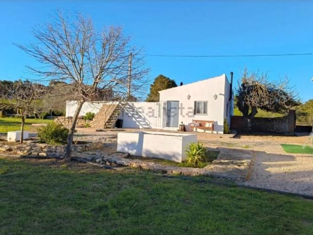 Finca rústica con casa, pozo propio y olivos en Pla de Santa Maria – Naturaleza, tranquilidad y autenticidad