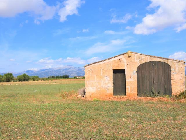 Finca rústica con caseta de campo y magnificas vistas a la Serra de Tramuntana en Llubi