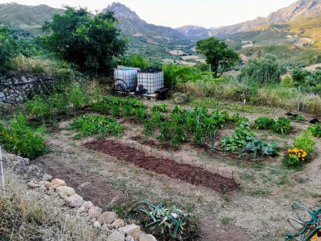 Finca rústica con caseta de aperos en Horta de Sant Joan
