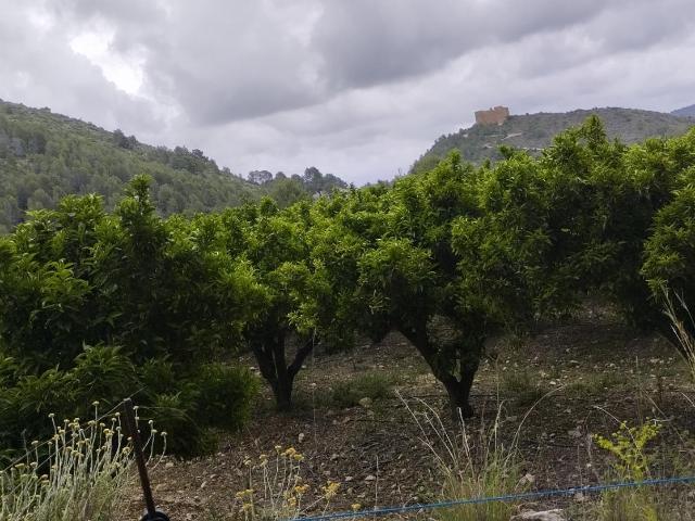 Finca rústica con caseta de aperos