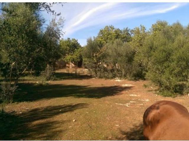Finca Rústica con caseta de aperos