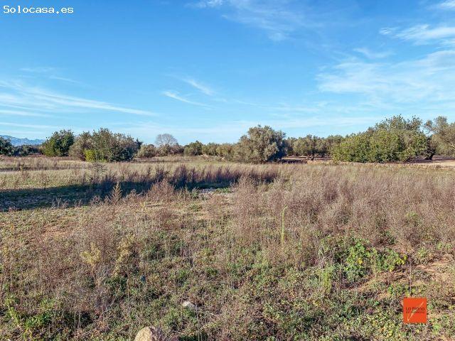 FINCA RUSTICA CON CASETA EN VENTA EN SANTA BARBARA TARRAGONA