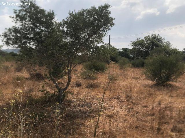 FINCA RÚSTICA CON CASITA DE APEROS