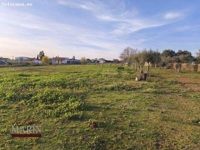 FINCA RÚSTICA CON CHALET Y MÁS NATURALEZA, AMPLITUD Y CALIDAD DE VIDA