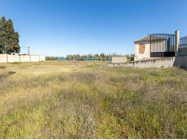 FINCA RÚSTICA CON CONSTRUCCIÓN EN LA ZUBIA