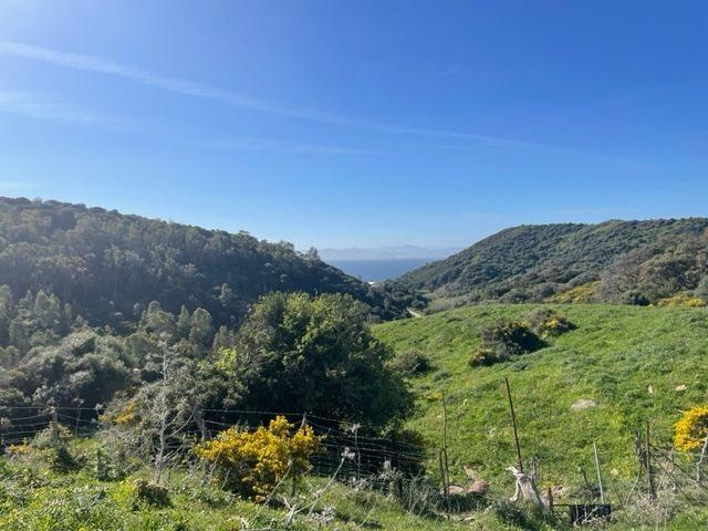 Finca rústica con construcciones en el Parque Natural del Es. 313m² Tarifa
