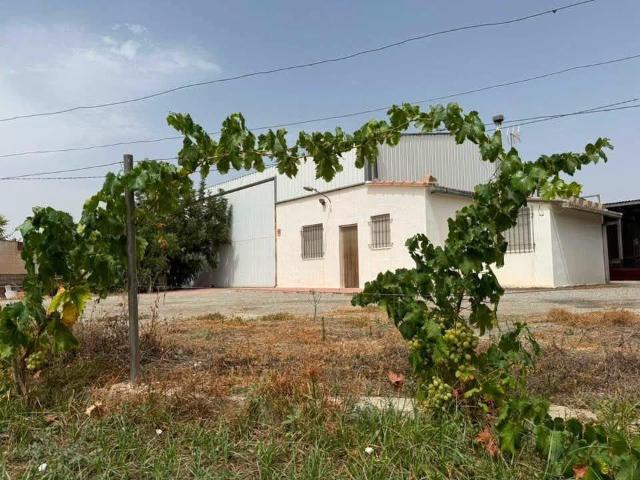 Finca rústica con cortijo, nave agrícola, olivar y derechos de agua junto a Albox Almería