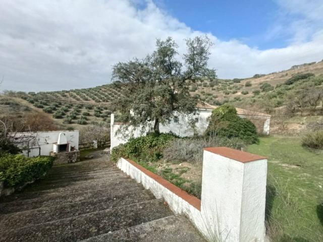FINCA RUSTICA CON CORTIJO REFORMADO