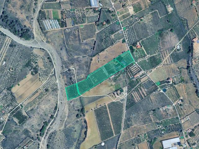 Finca rústica con edificación en Riudoms Tarragona