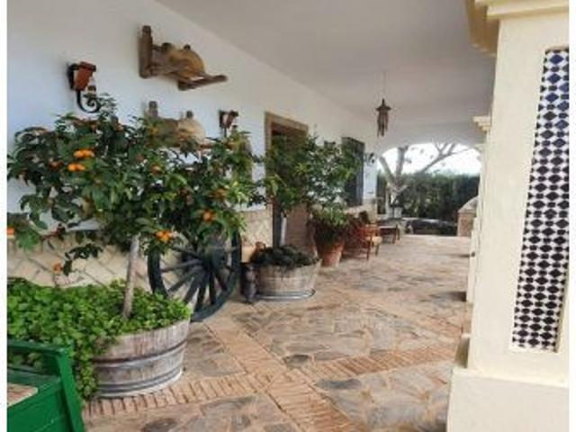 Finca rústica con encanto, piscina y chimenea en El Coronil Sevilla