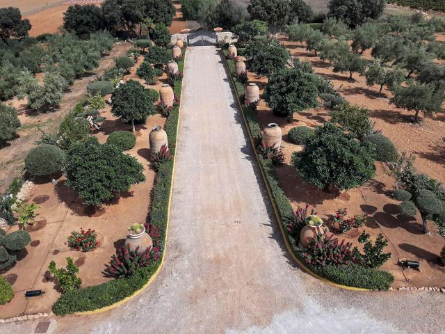 Negocio de aceite de oliva más vacacional