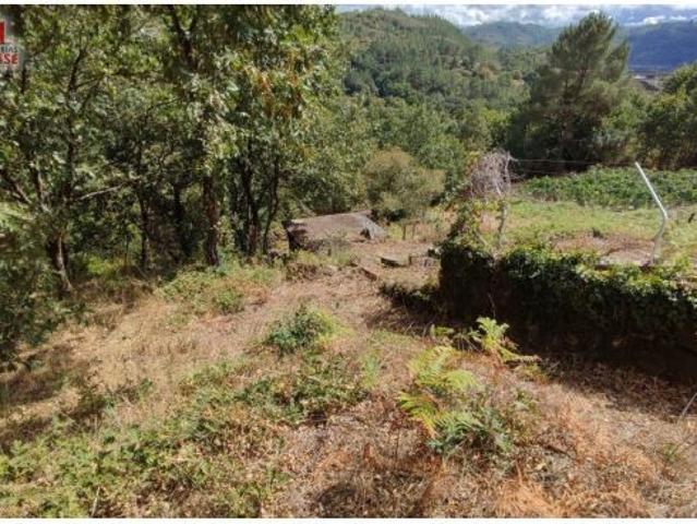 FINCA RUSTICA CON GALPON EN LA ZONA DE CASTRO DE BEIRO AMOEIRO