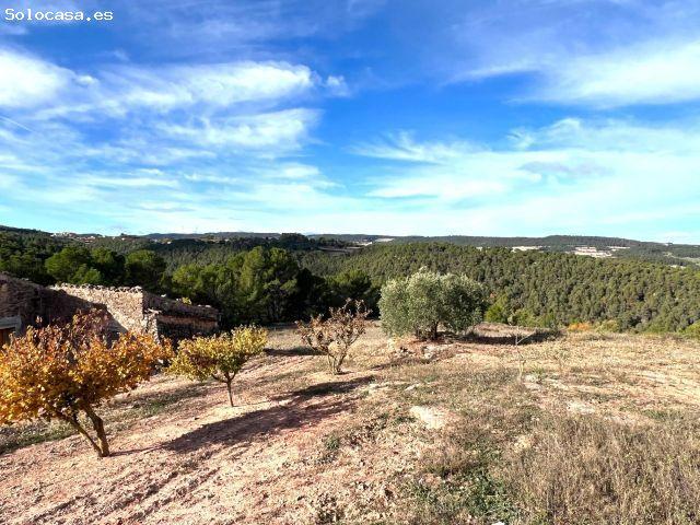 finca rústica con gran casa