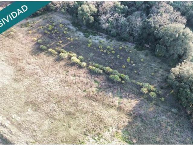 FINCA RUSTICA Con Gran Perspectiva Proyecto Agropecurio ZONA GIRONÉS / LA SELVA