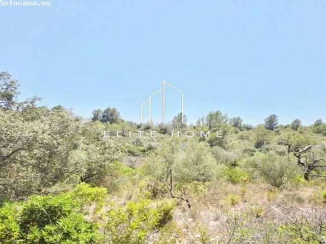 FINCA RUSTICA CON GRAN POTENCIAL CERCA DE CERVERA DEL MAETRE