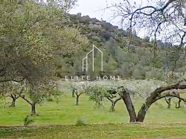 FINCA RUSTICA CON GRAN POTENCIALJUNTO A CERVERA DEL MAESTRE