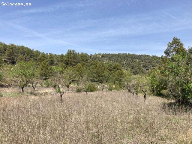 Finca rústica con maset en Arens de Lledó