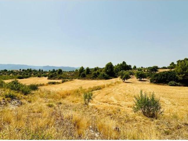 Finca rústica con maset en Cretas