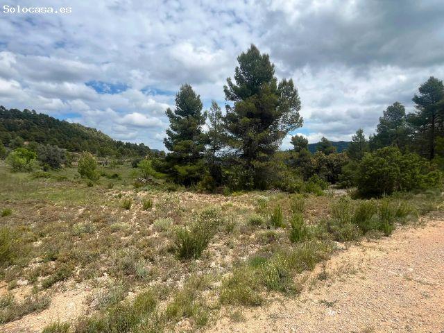 Finca rústica con maset en Ráfales